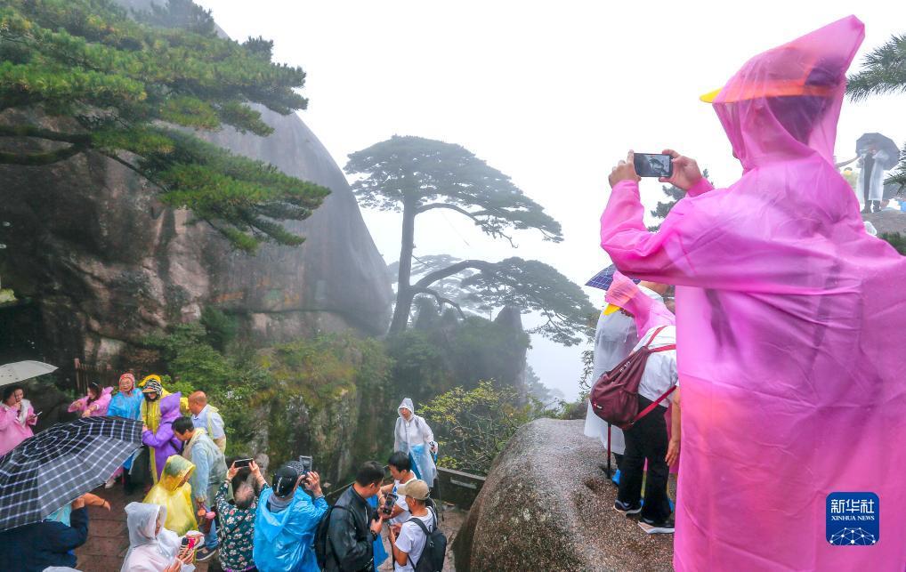 玛丽水果机下载